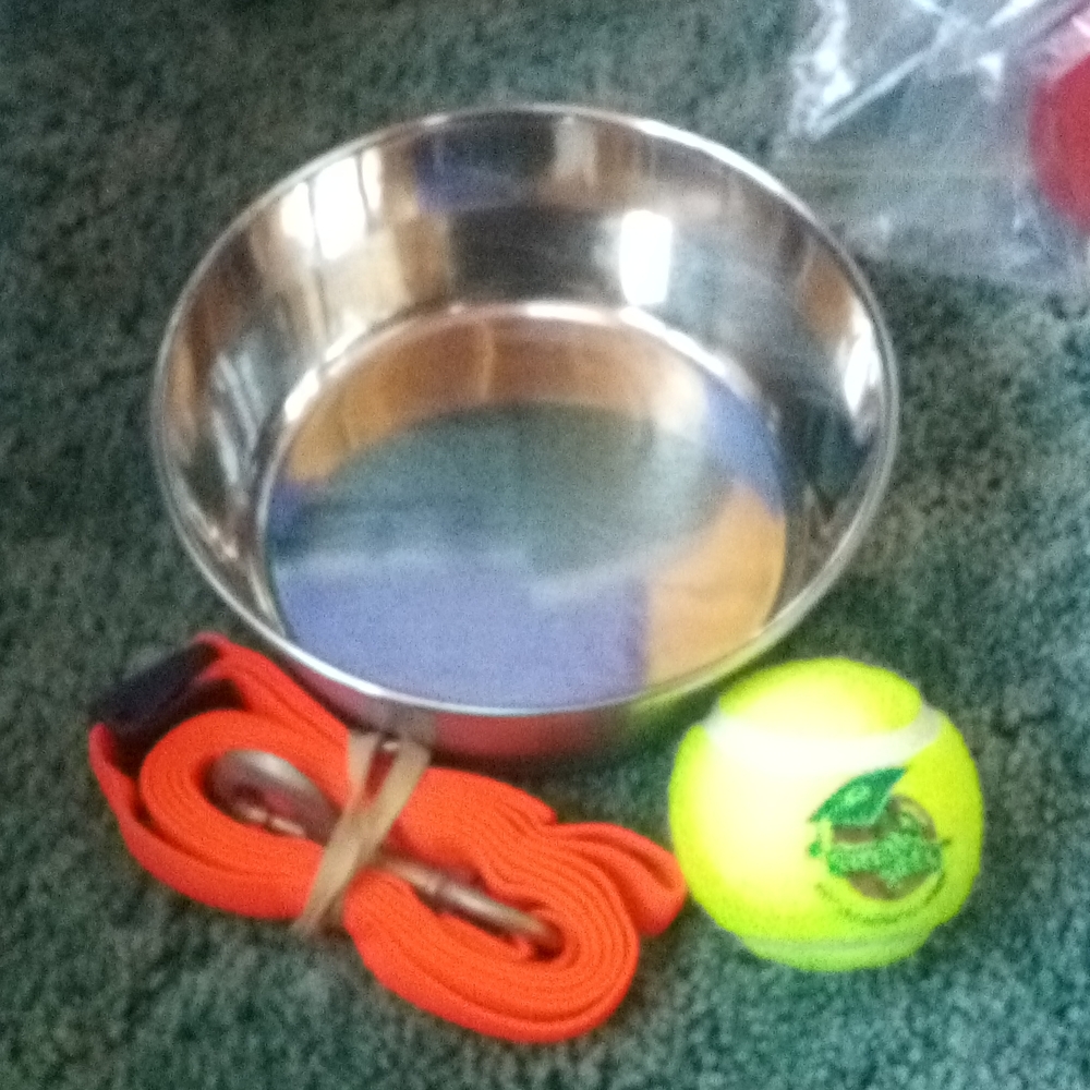 Emergency Dog Kit
